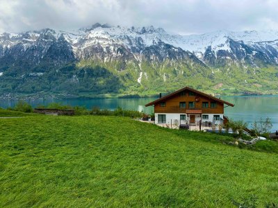 shalet alps 2.jpg